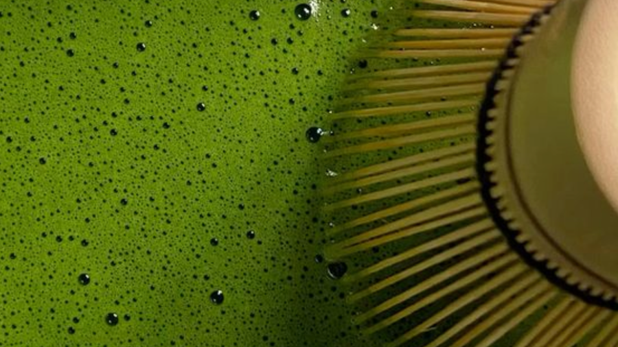 Nahaufnahme_Ceremonial_Grade_Matcha_mit_Chasen _aufschlagen